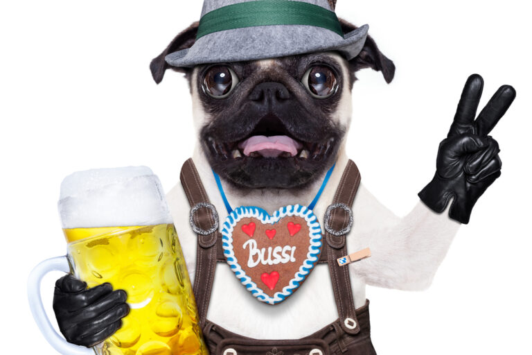 partyreisen-deutschland-oktoberfest-partyboot