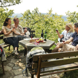 Ahrtal-partyreisen-deutschland