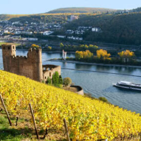 Blick über Weinberge und Burg auf den Rhein bei Rüdesheim
