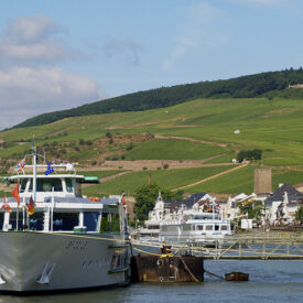 Ausflugsschiff am Rheinufer vor den Weinbergen von Rüdesheim
