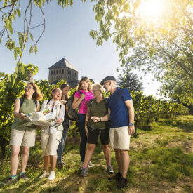 Gruppe bei einer Wanderung durch die Weinberge von Rüdesheim