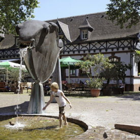 Brunnen und historische Häuser in der Speyerer Altstadt
