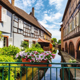 Fachwerkhäuser und Blumen in der Altstadt von Wissembourg