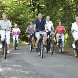 Reisegruppe auf Fahrrädern in einem Waldgebiet bei Assen