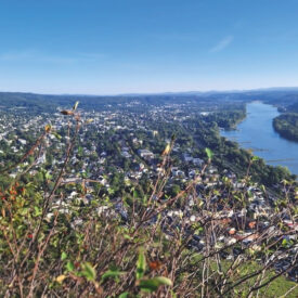 Blick auf die Insel Grafenwerth und den Rhein bei Bad Honnef