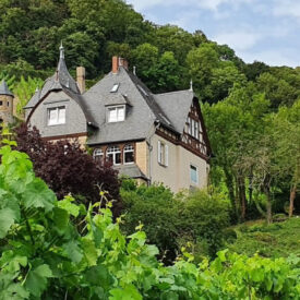 Panoramablick über die Landschaft des Siebengebirges bei Bad Honnef