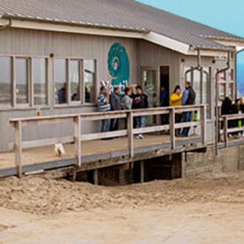 Beachbar Nautilus direkt am Strand von Egmond aan Zee