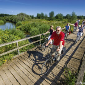 Gruppe bei einer Radtour durch die Landschaft des Hasetals