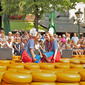 Käseträgerinnen beim Käsemarkt in Alkmaar
