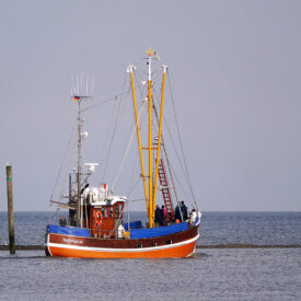 Kutter auf der Nordsee bei einer Ausfahrt ab Neuharlingersiel