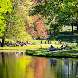 Besucher entspannen an einem Teich in einem Rotterdamer Park