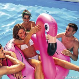 Gäste mit Flamingo-Schwimmtier im Pool des Wangerland Resorts