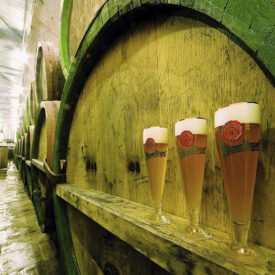 Biergläser vor Holzfässern bei einer Brauereibesichtigung in Prag